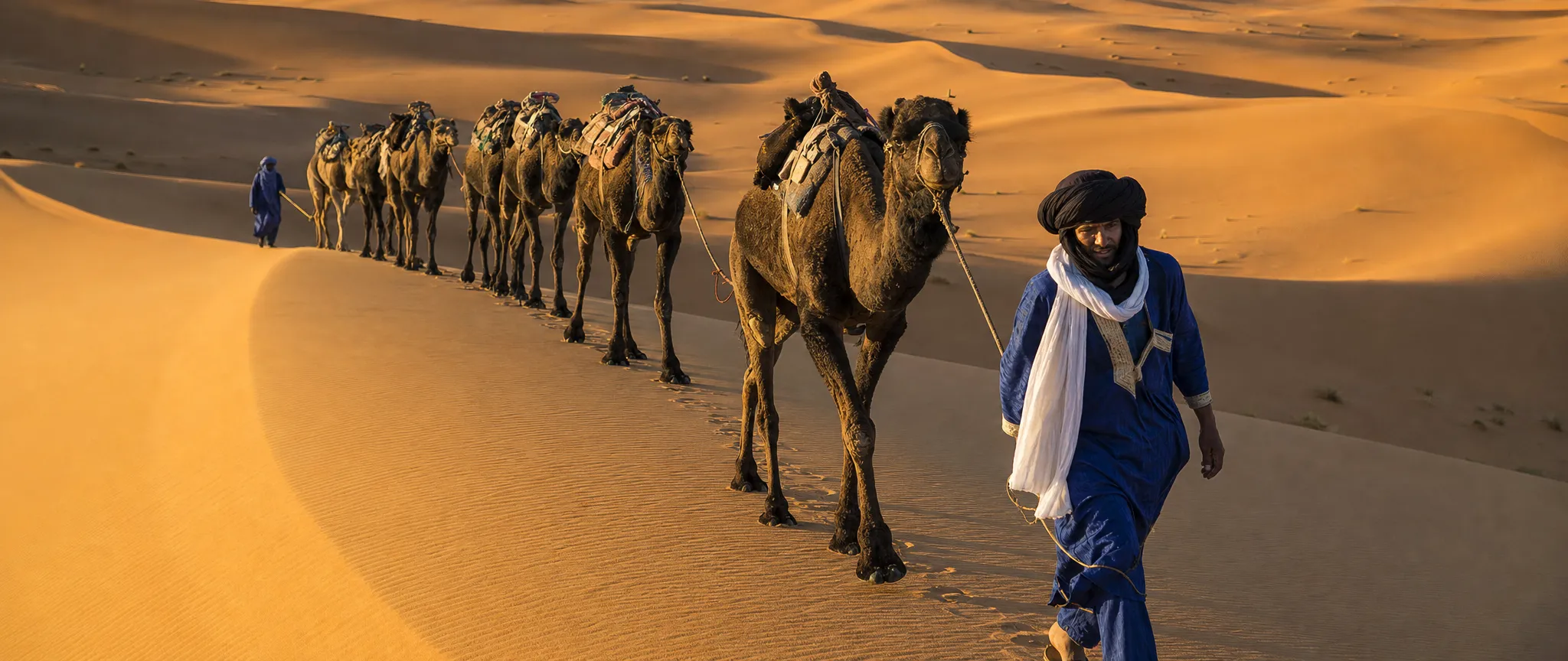 A camel caravan crossing Sahara dunes at golden hour