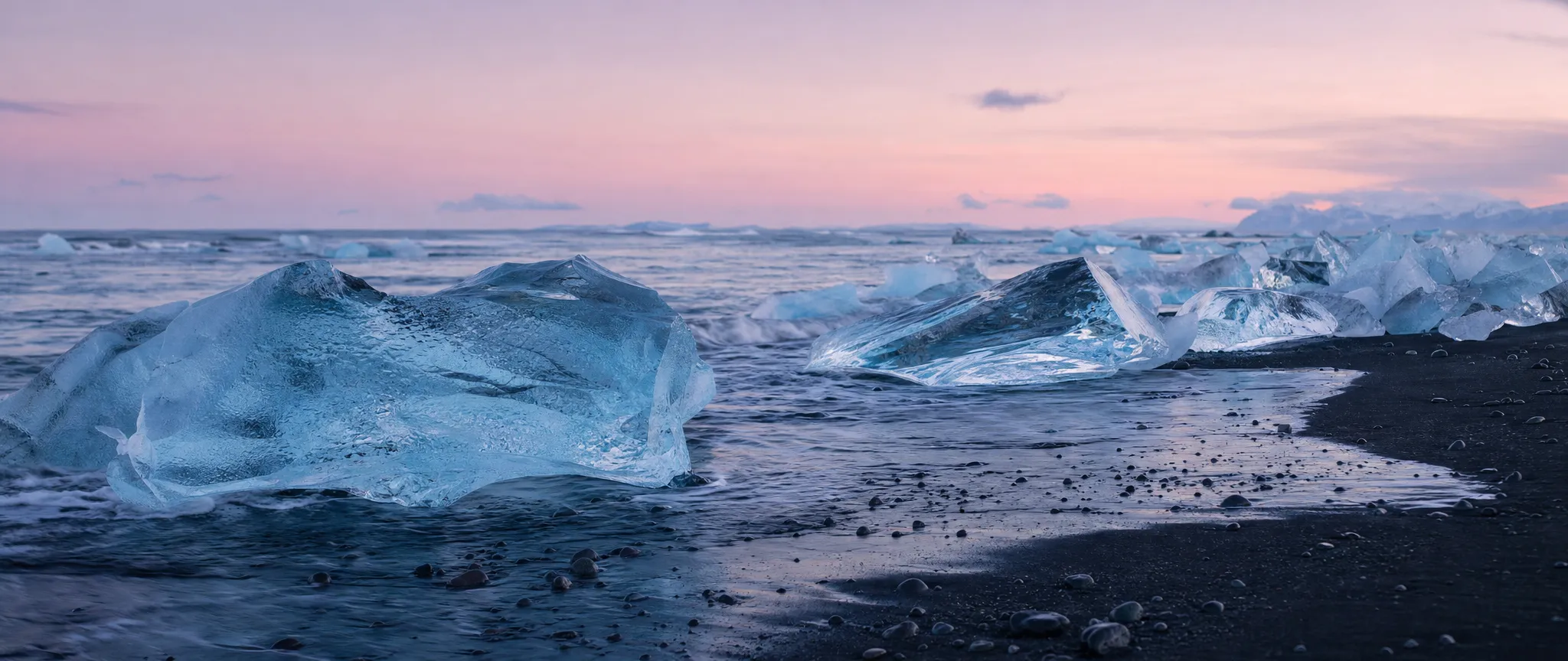 Icebergs on a black beach at blue hour