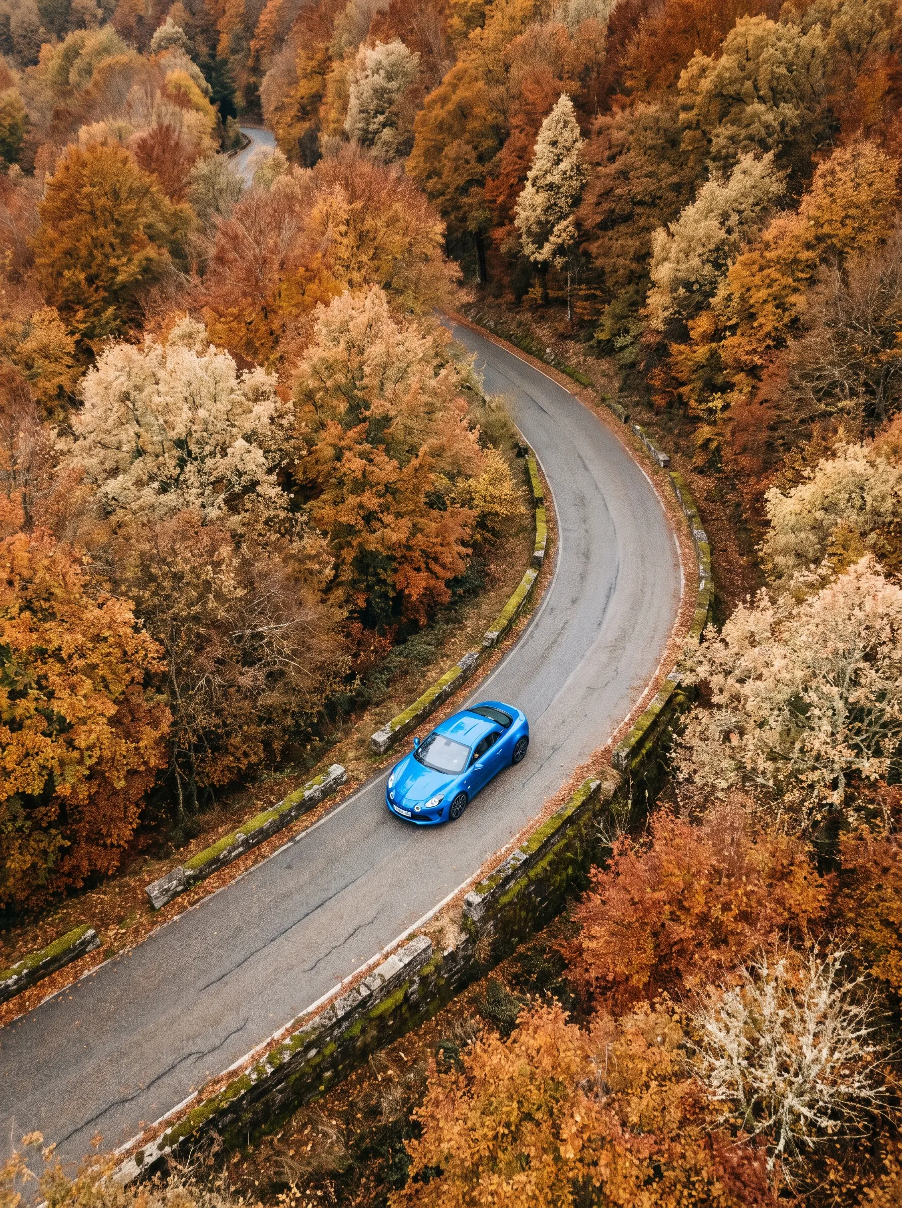 An aerial view of a winding mountain road through autumn forest
