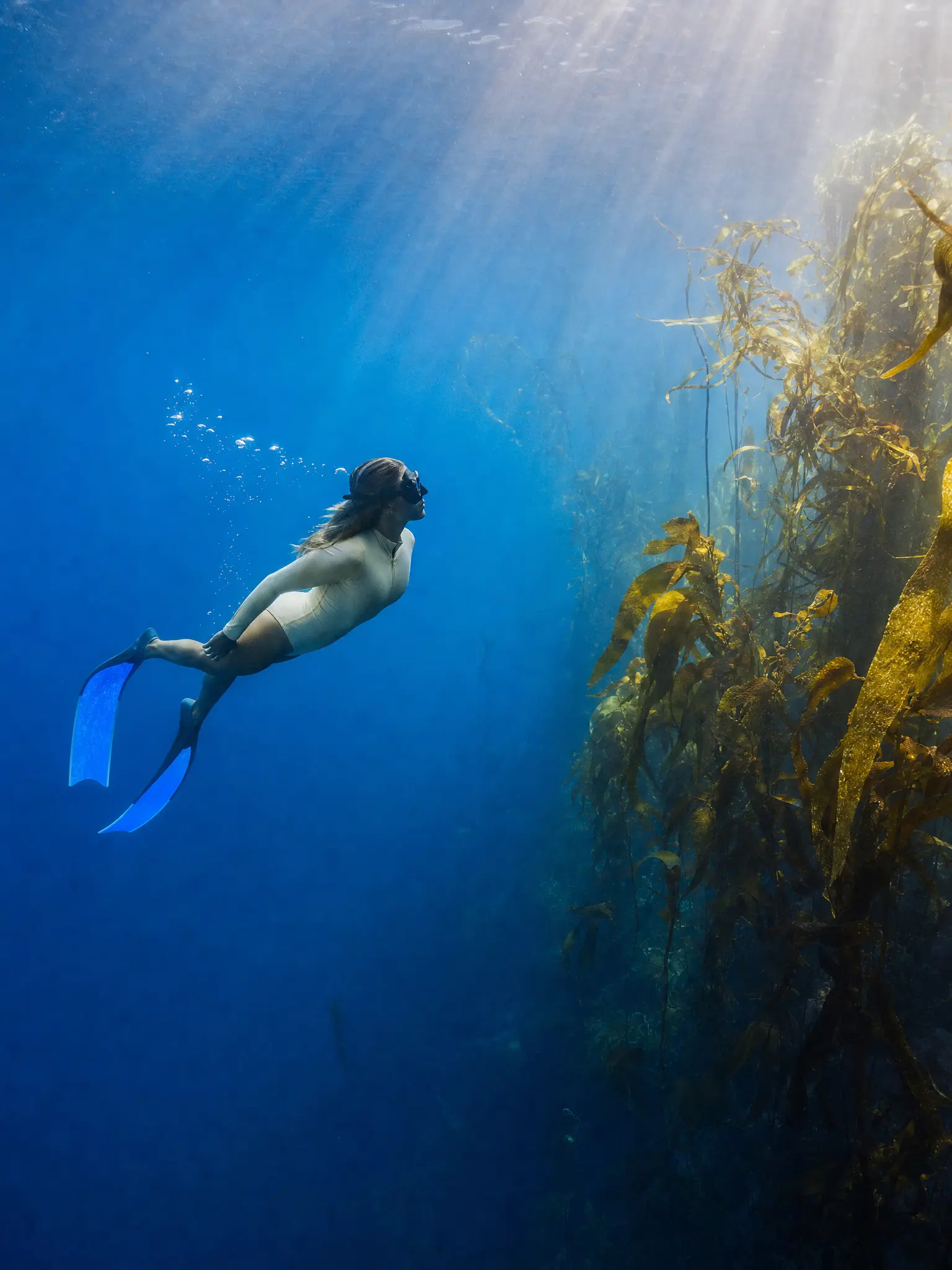 A freediver beside a kelp forest