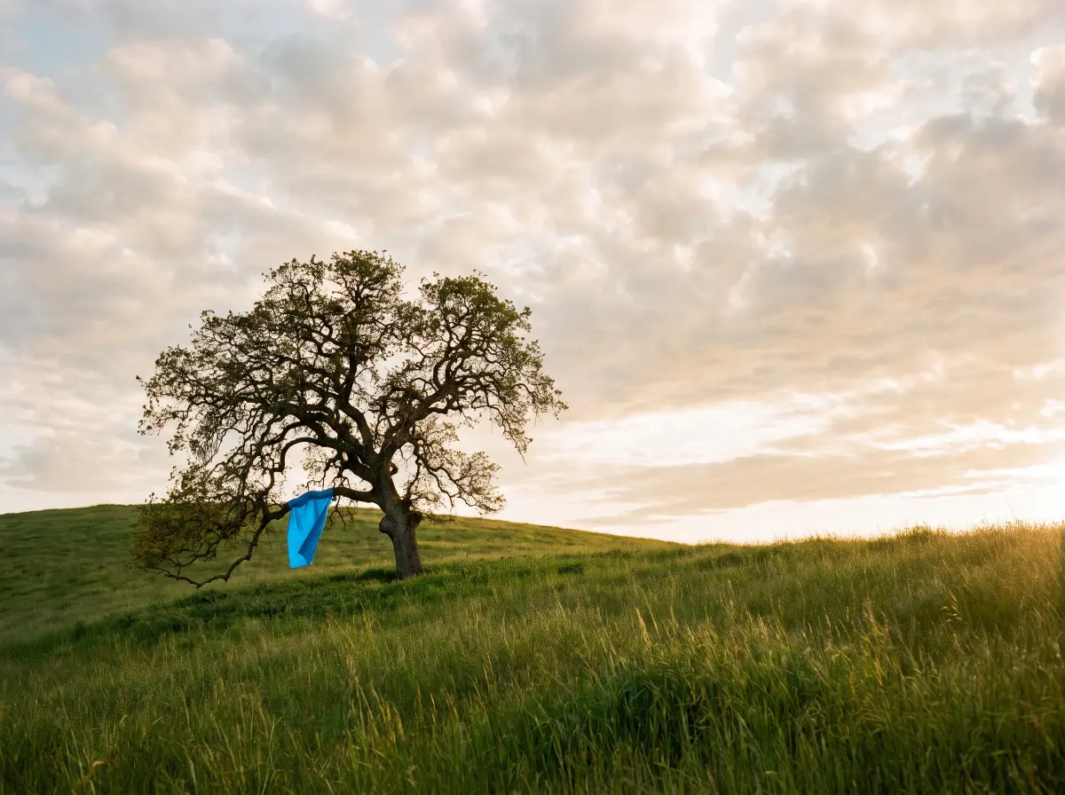 A dramatic wide sky over a lone tree on a green hill