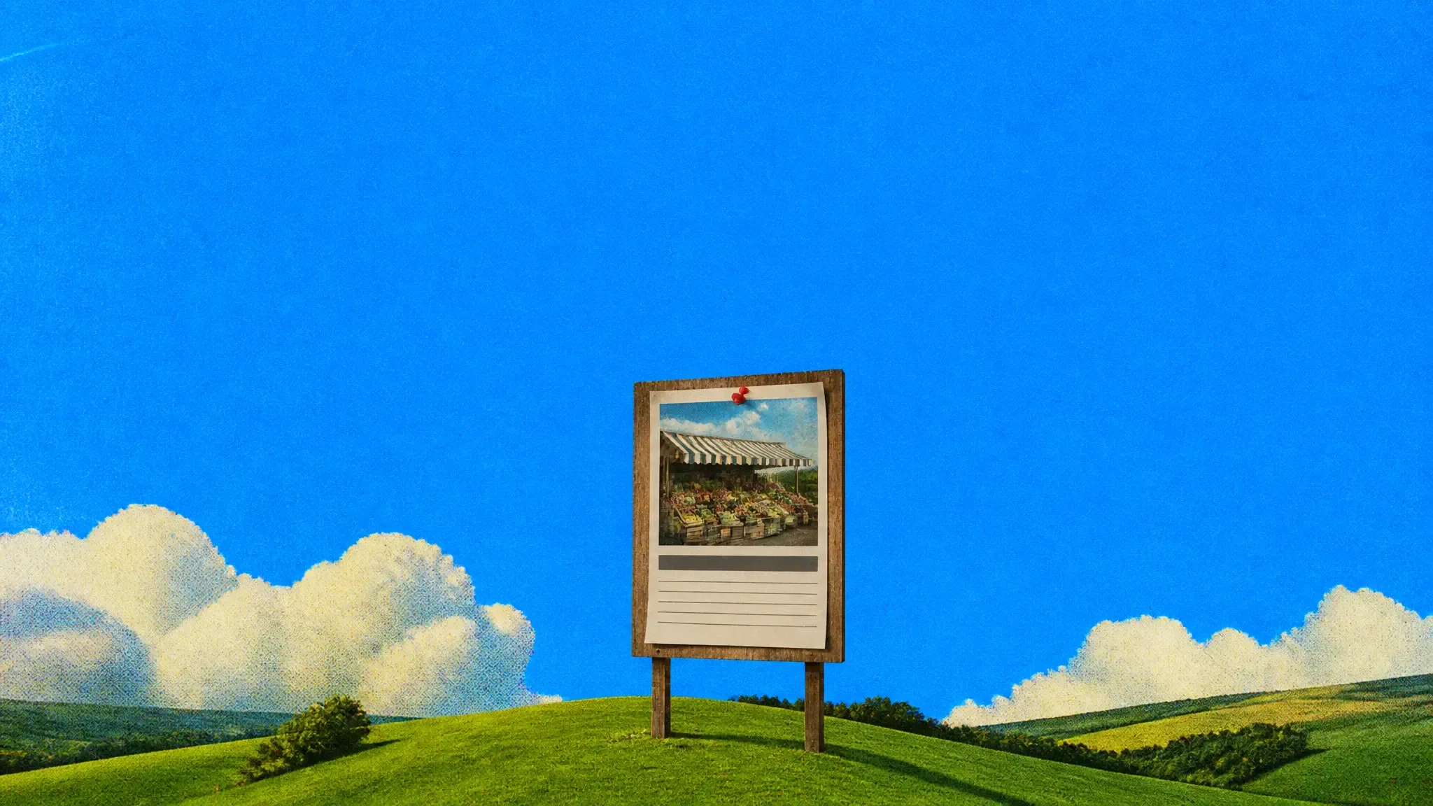 A giant flyer pinned to a noticeboard on a green hill