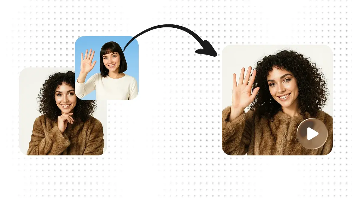 Transfer Motion Banner