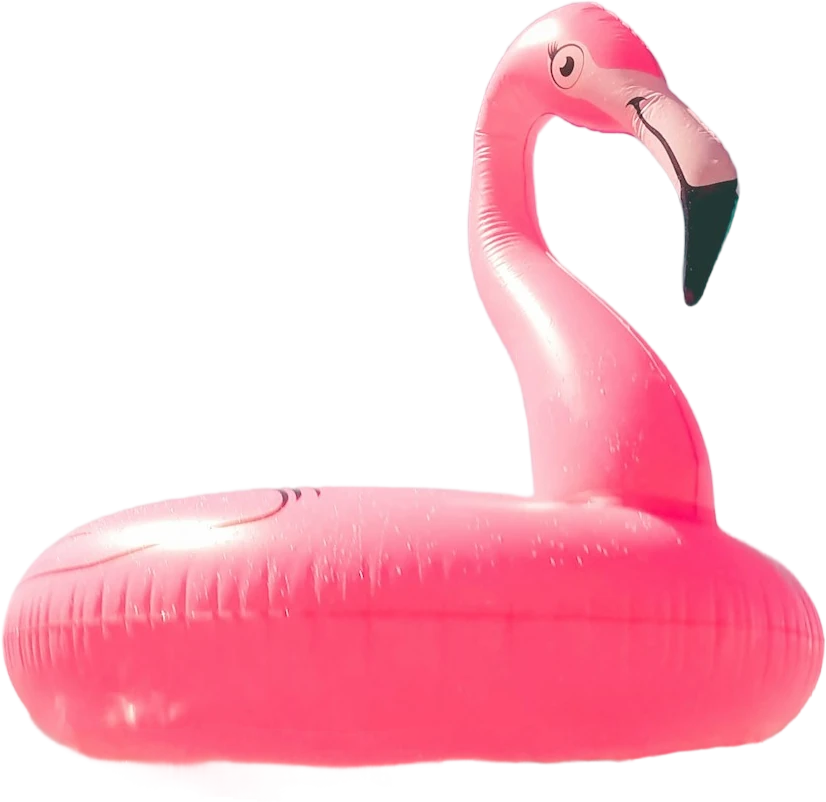 summer-duck-cropped